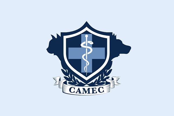 クロス動物医療センター藤沢