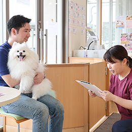 ⽝の献⾎ ドナー登録のお願い