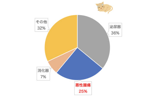 10歳以上のねこちゃんの死因2位は悪性腫瘍!