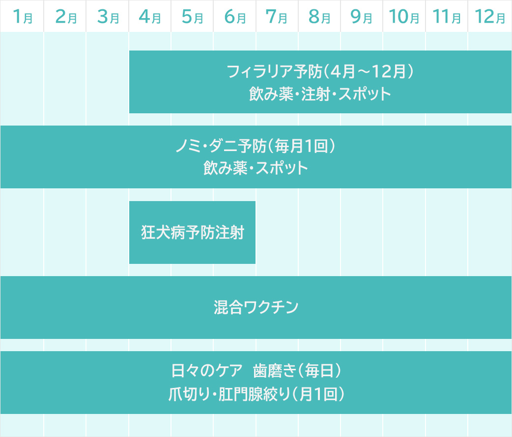 予防年間スケジュール