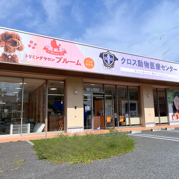 トリミングサロンブルーム足立
