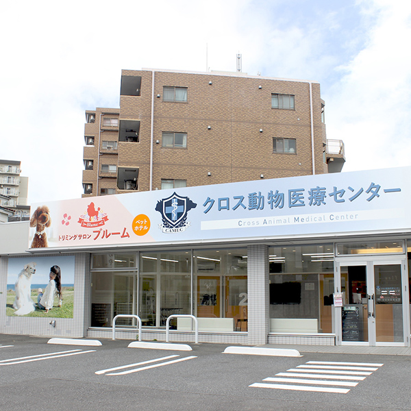 トリミングサロンブルーム青井