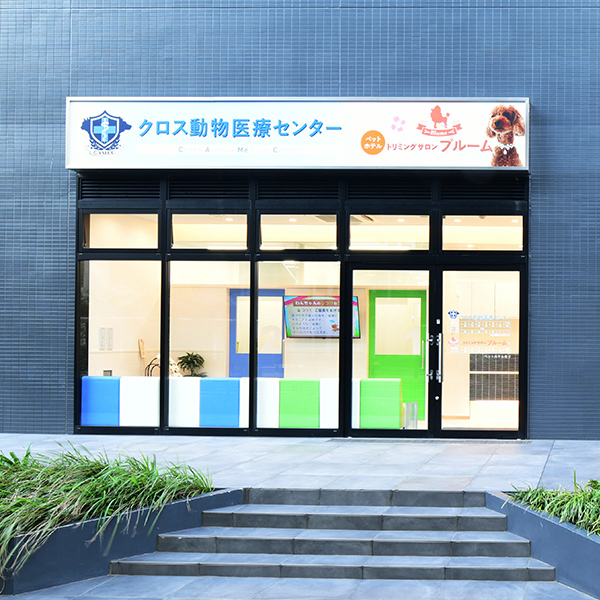 トリミングサロンブルーム勝どき